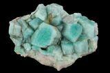 Amazonite Crystal Cluster - Colorado #129662-1